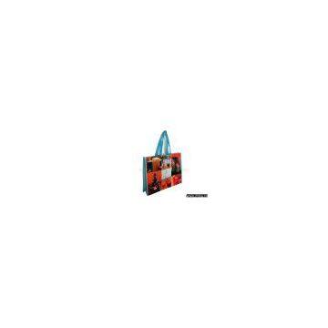 PP Woven Shopping Bag