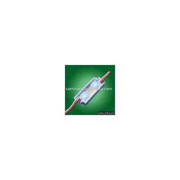 Waterproof 2LEDs Module