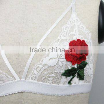 B33706A Wholesale Hot Product Floral Embirodered Lace Bra photo-4