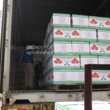 Factory Price Premium Tomato Paste in Pouch/Sachet photo-3