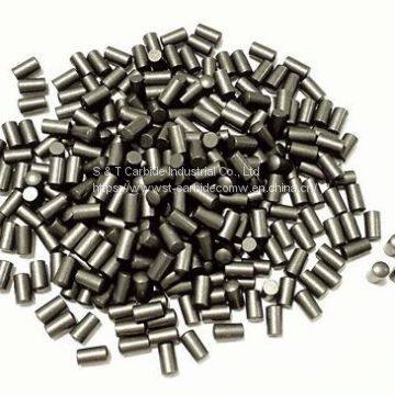 Cemented Carbide Pins, Studs, Tyre Nails