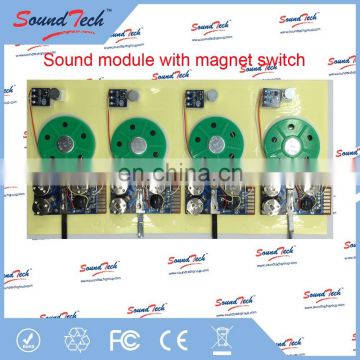 sound module with magnetic switch