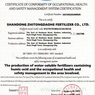 CONFORMITY OF OCCUPATIONAL HEALTH AND SAFETY MANAG