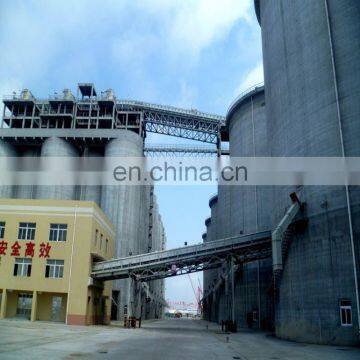 Storage Silo for 100 Tons Grain Paddy Rice photo-2