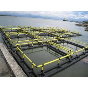 Floating Cage Fish Culture Square Floating Cage Fish Farming