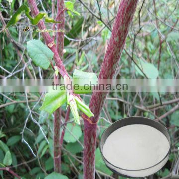 Natural Additive Winemaking Resveratrol