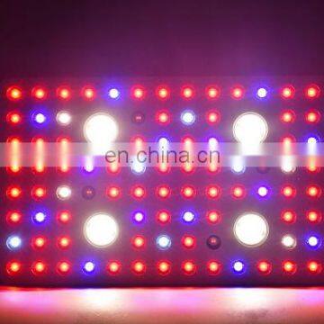 Meizhou Suppliers Factory Price Led Plant Grow Light for Indoor Garden photo-4