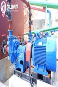 Tobee 200TJ-A68 Horizontal Slurry Pump