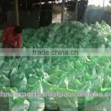 Fresh Coconut and Premium Quality photo-3