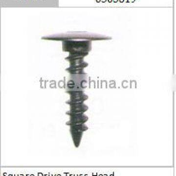 Square Drive Truss Head	screw