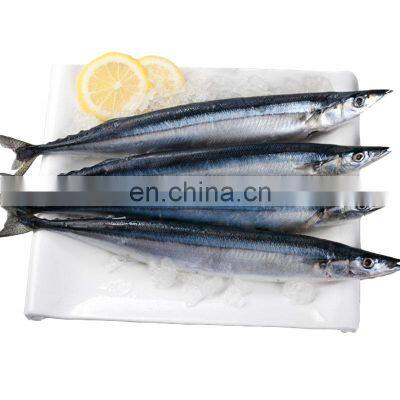 Frozen Pacific Saury in 2#