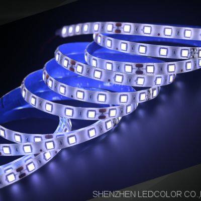 Flexible 5050 Led Strip Light High Brightness IP65 IP20 5M 120 Led per Meter Factory Sales photo-2