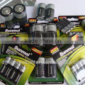 AM-2 LR14 C dry cell battery c alkaline battery