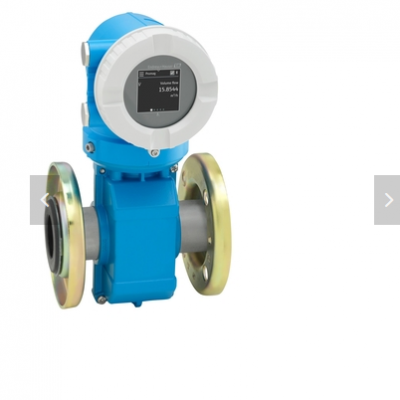 E+H Electromagnetic Flowmeter Proline Promag W 10