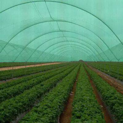 Cheap Price Good Quality Green Color Shadow Mesh for Agriculture Greenhouse