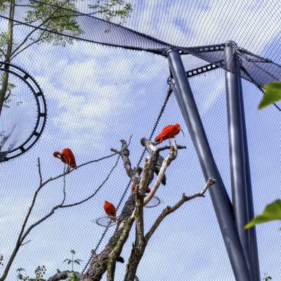 Stainless Steel 316 304 Wire Rope Mesh Netting for Balustrade/Stairs Safety Rope Mesh photo-3