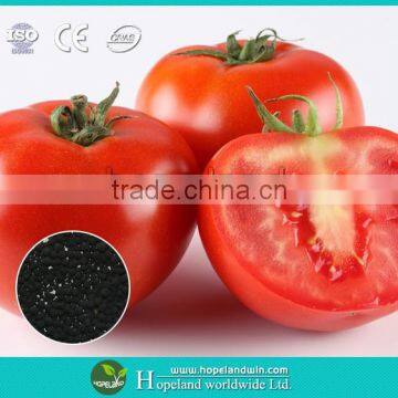 100% biochar based organic tomato fertilizer
