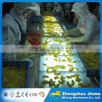 high quality fruit belt conveyor