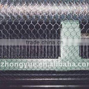hot dip galvanized hexagonal wire mesh netting