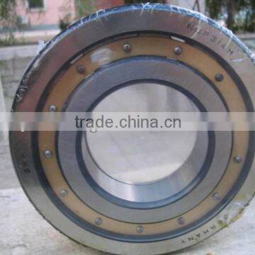 China Manufacturer Bearing /Cylindrical Roller Bearings NU314/NJ314/NUP314/N314/NF314