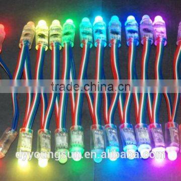 RGB 12mm High Brightness Led String Light photo-2