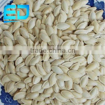 our best Shine Skin Pumpkin Seeds 9CM and 11CM