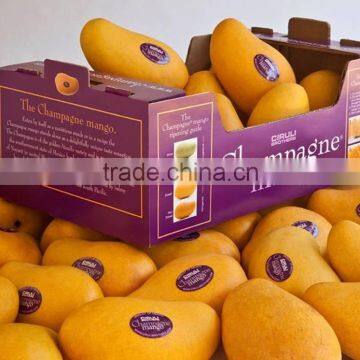 Corrugated Carton Box Packaging Fresh Fruit and Vegetable photo-6