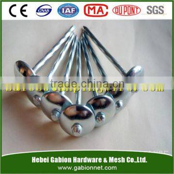 Plastic Cap Umbrella Head Roofing Nails Made in China