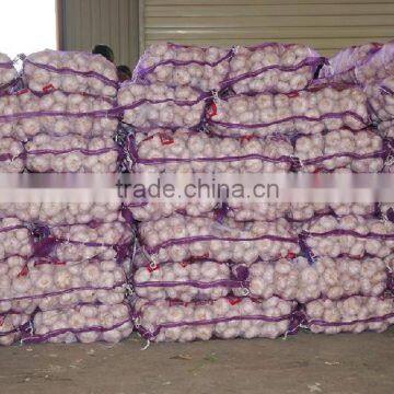 fresh garlic cloves price