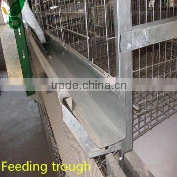 automatic poultry feeding system for broiler chicken