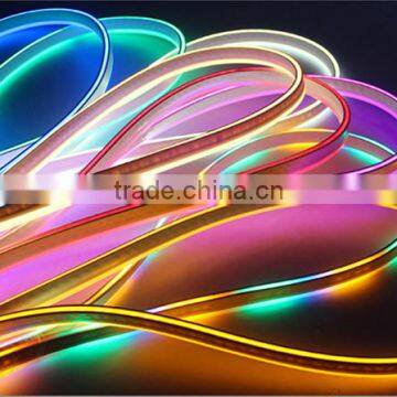 220v/ 12v Outdoor LED Flexible Neon Strip Light for Building Decoration