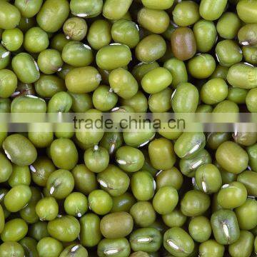 Green Mung Beans, White Kidney Beans, Broad Beans