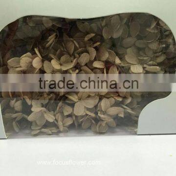 Top Quality Flower Export Preserved Flower Colorful Wholesale Artificial Hydrangea Flowers photo-6