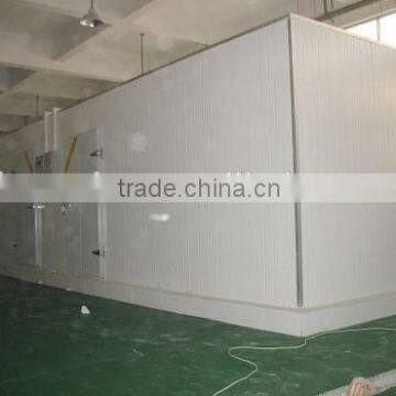 Guangzhou Walk in Refrigerator for Warehouse photo-3