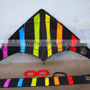 Delta Stunt Kite Promotional kite Sport kite making by Kite Factory