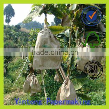 mango paper bag mango protective bag