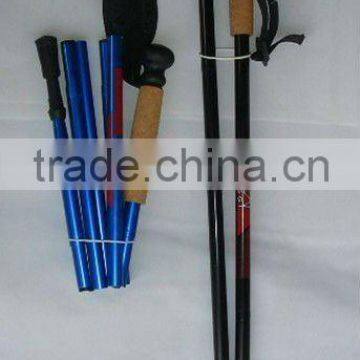 Nordic Walking Stick