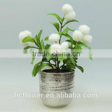 High Quality Cement Potted Plant for Home Decorating
