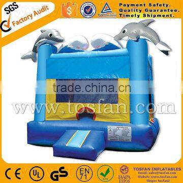 Hot Sale Inflatable Inflatable Jumping Castle on Sale A1134 photo-1