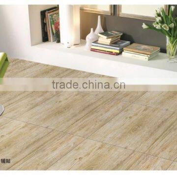 600x600mm matt design floor tile