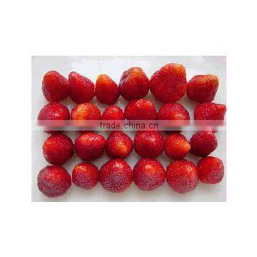 supply frozen fruit new crop IQF frozen strawberries