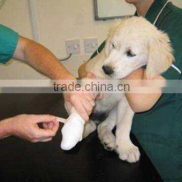 Waterproof Colors Fast Hardening Pet Fracture Bandage/Fita Veterinaria