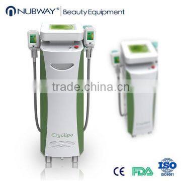 2 Big Cryo Cups Cryolipolysis Japan Machine Lipo Laser Fat Dissolving