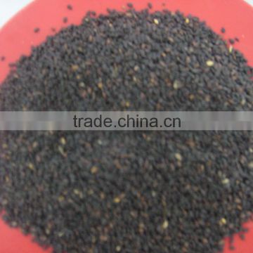 Indian Natural Sesame Seeds from india