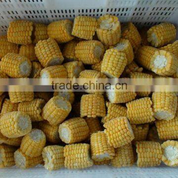 NON-GMO frozen sweet corn cut IQF Sweet Corn