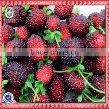 decorative fake custard apple plastic fruit artificial fruit