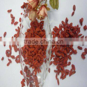 Goji Berry