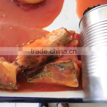 Canned style and fish product type Chinese mackerel fish