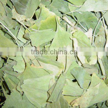 Ginkgo leaves