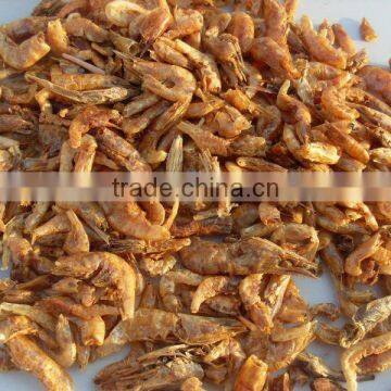 Sun Dried Gammarus For Reptiles Food